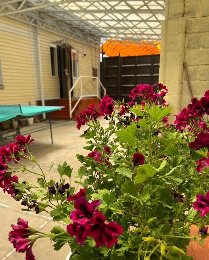 Hostel My House Karakol Exterior photo